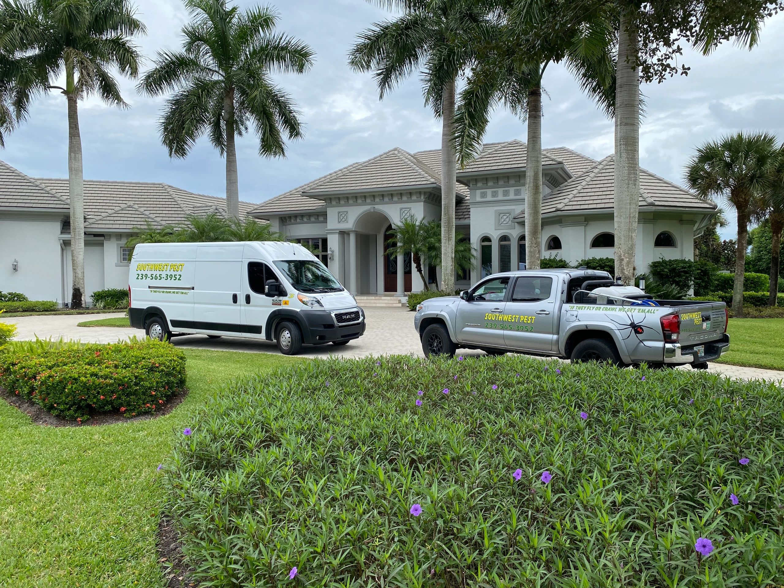 Southwest Pest Mgmt Pest Control, Pest Control, Exterminating